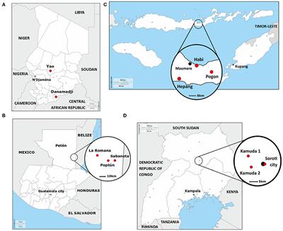 Comparative Study of Free-Roaming Domestic Dog Management and Roaming Behavior Across Four Countries: Chad, Guatemala, Indonesia, and Uganda